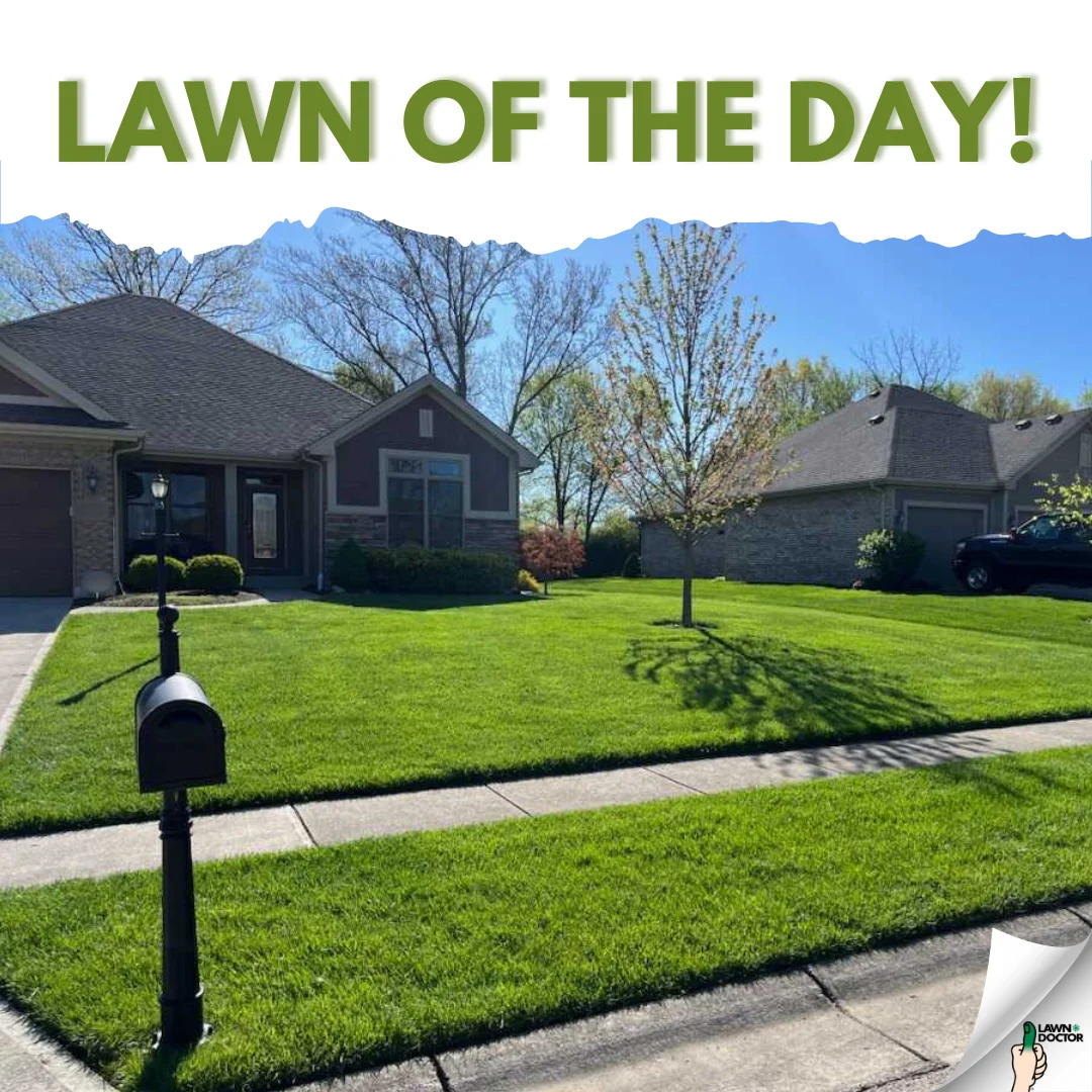 Lawn Doctor — Seasonal communication with a useful next step.